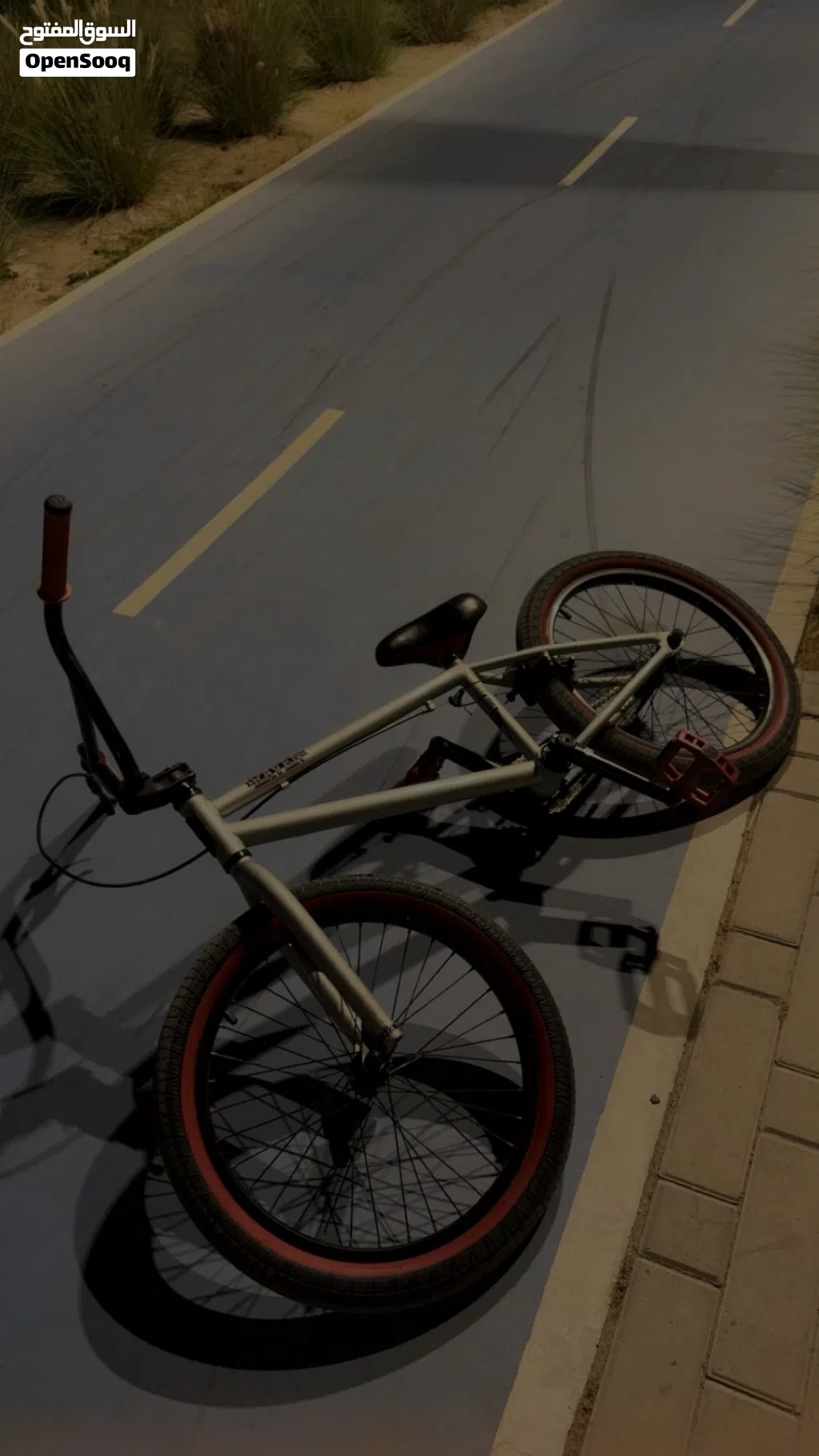 Dk raven Bmx everything is in good condition