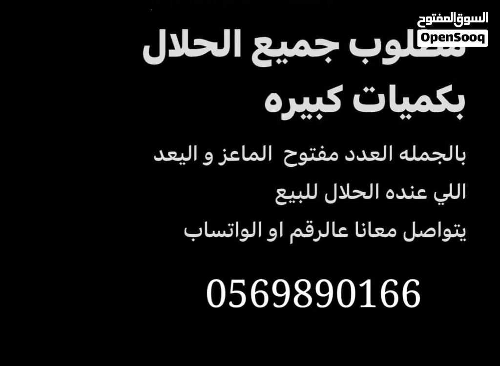 مطلوب حلال