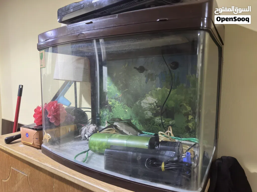 Fish tank with accessories