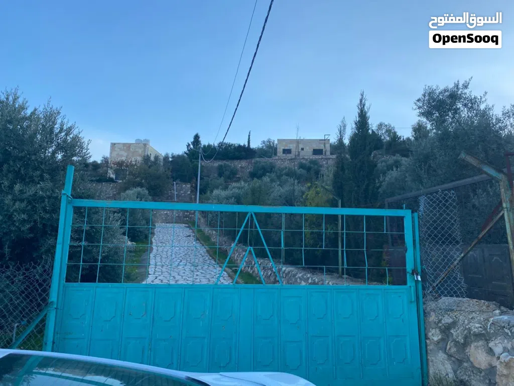 مزرعة للبيع السلط الصبيحي 4.5 دونم من المالك مباشرة