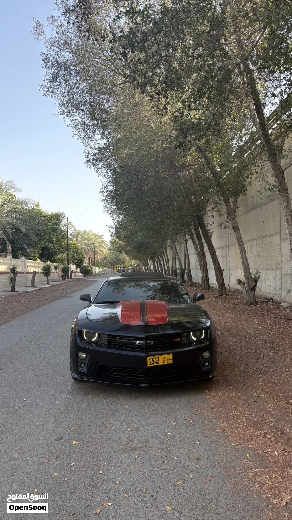 Chevrolet Camaro SS