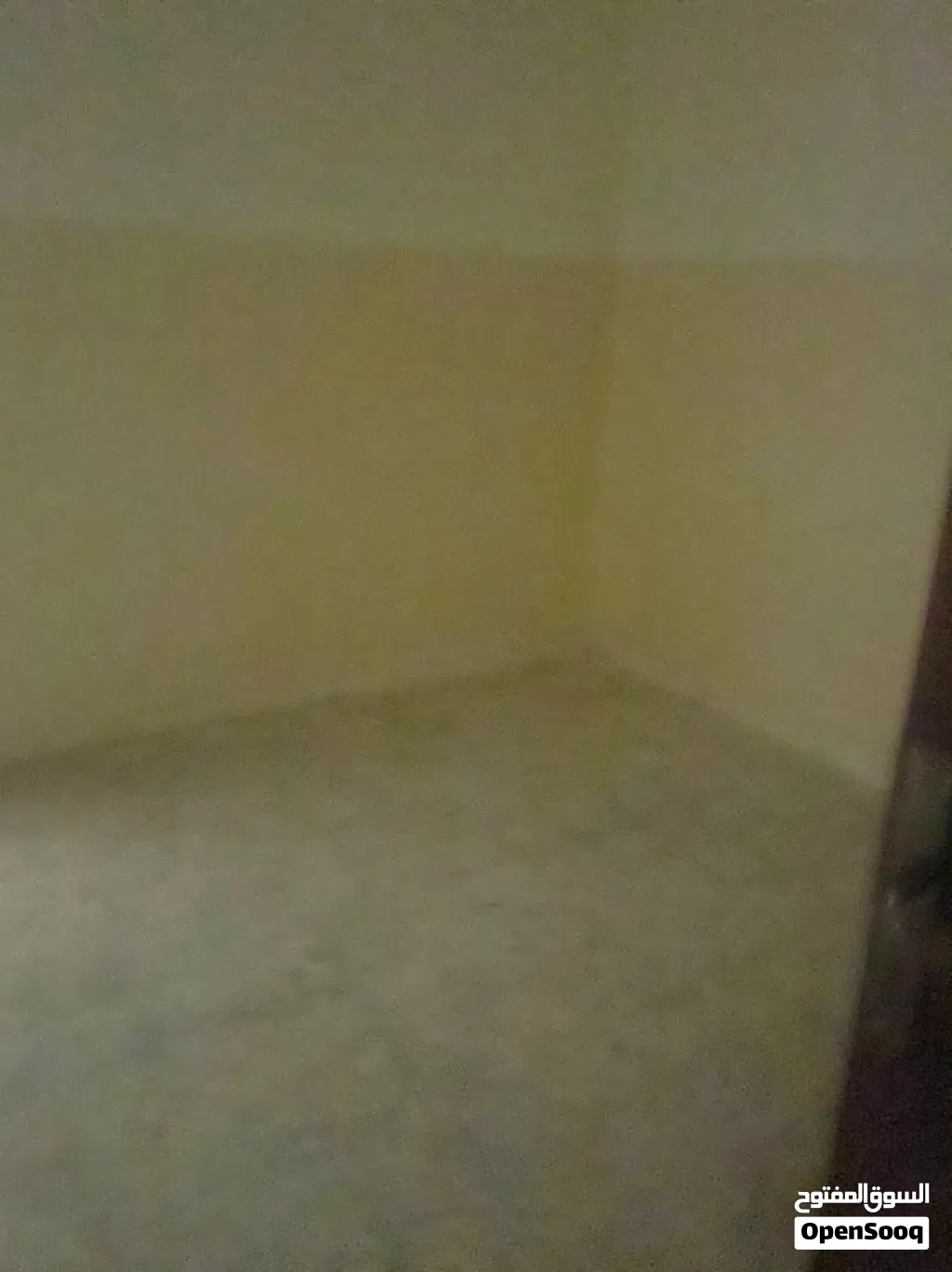 استوديو الايجار عزاب فقط في منطقة راس حسن قرب جزيرة شارع المدار دور ارضي باب خاص يوجد فيديو علي واتس