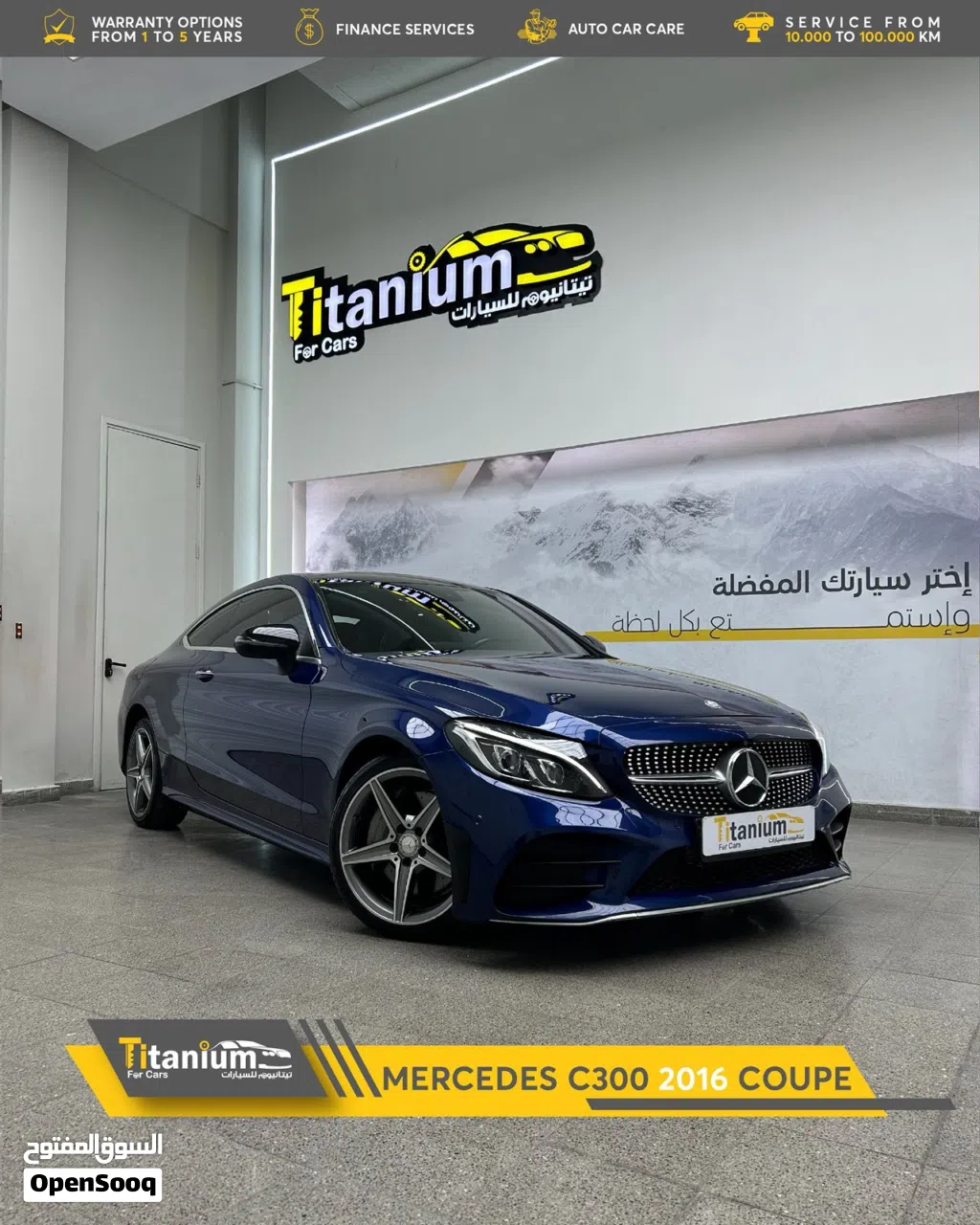 Mercedes Benz C-Class C 300