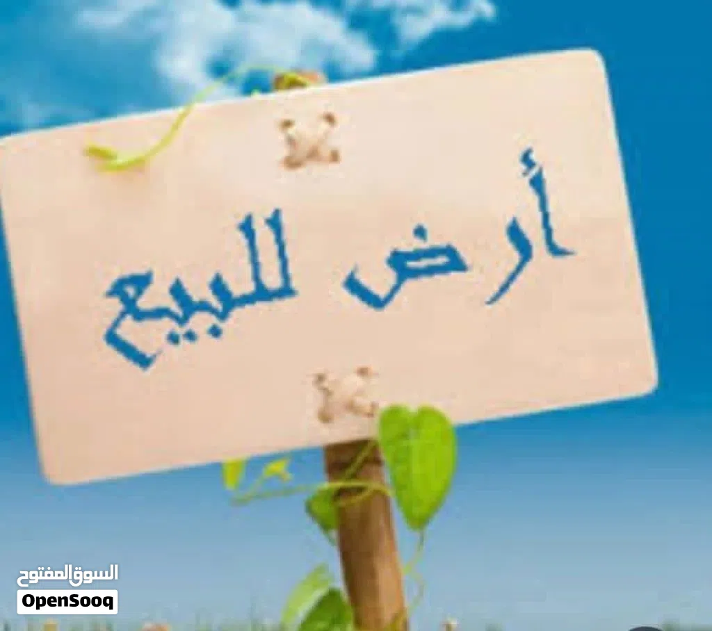 ارض 5 هكتارات في الجنين وادي الربيع