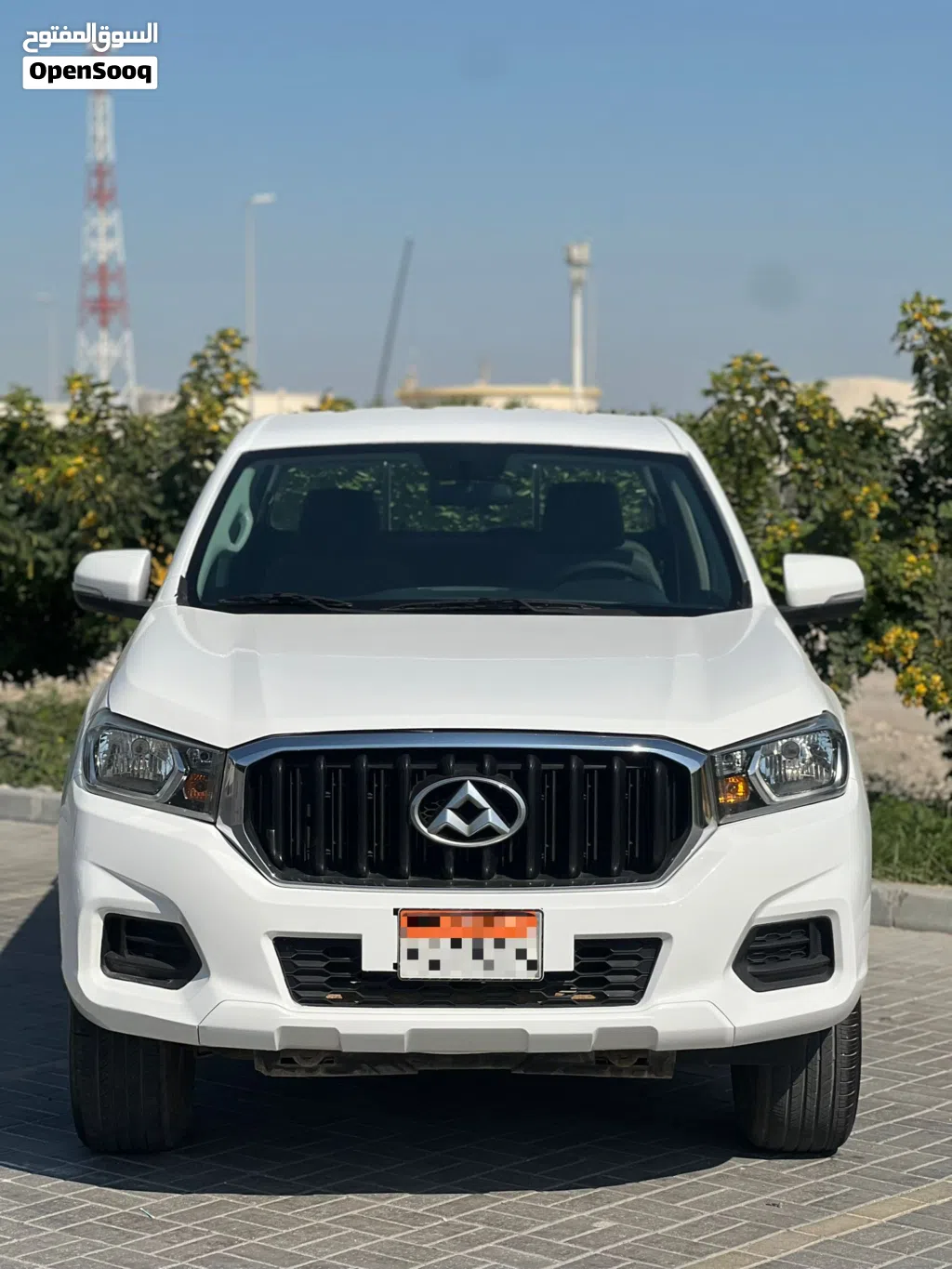 Maxus Other