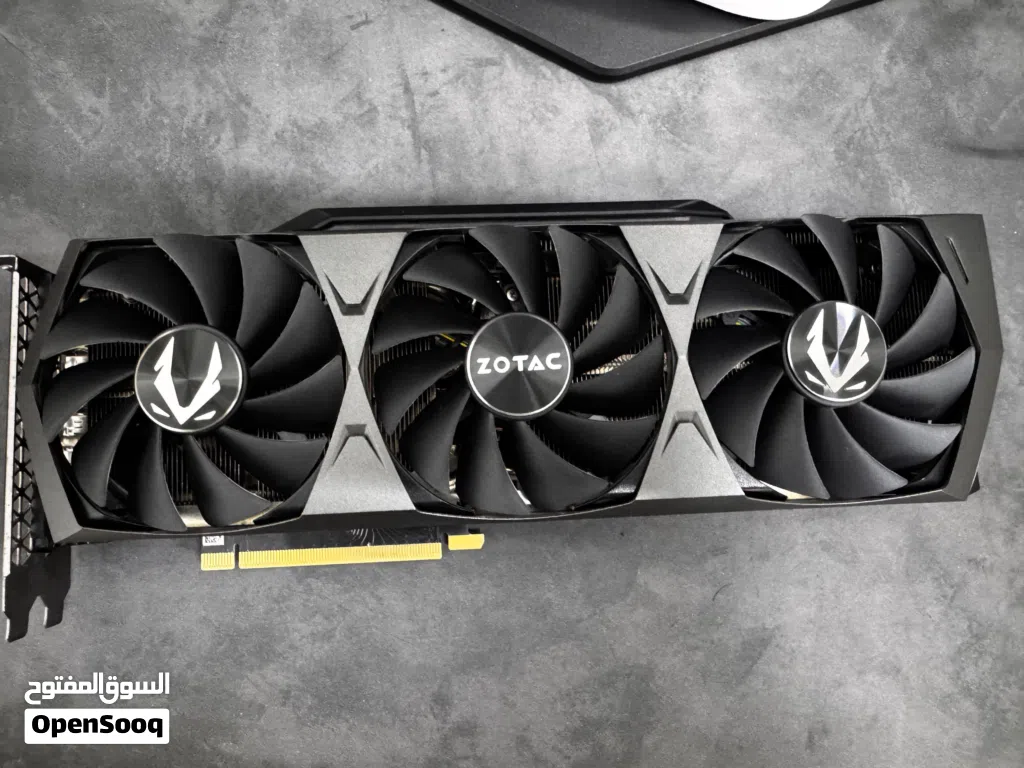 RTX 3090 24gb