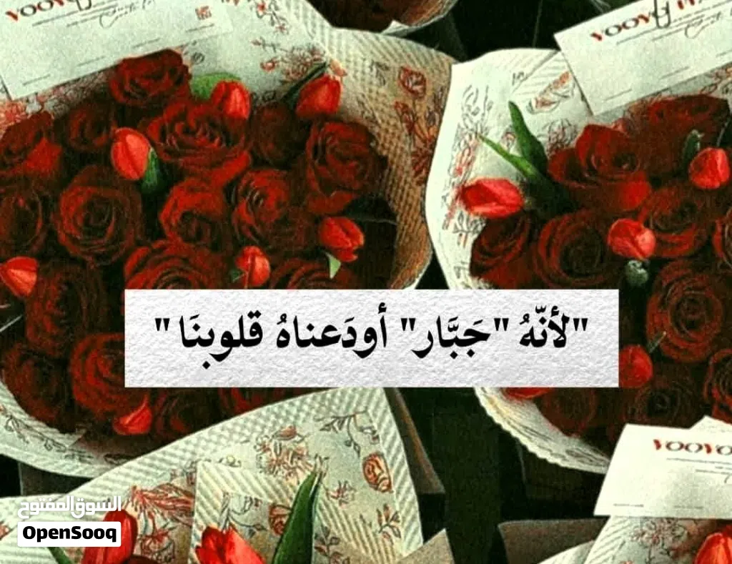 مطلوب- اريد شقه نظيفه غرفتين ومطبخ وحمام في هايل الرقاص او الزراعه