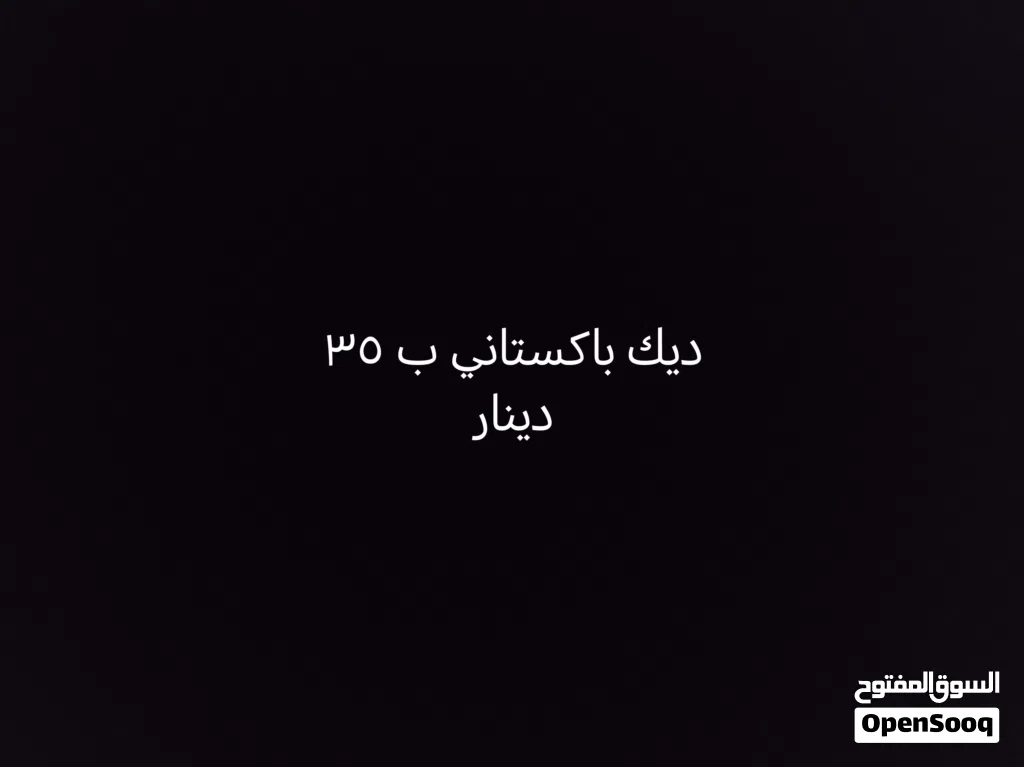 ديك باكستاني ب 35 دينار