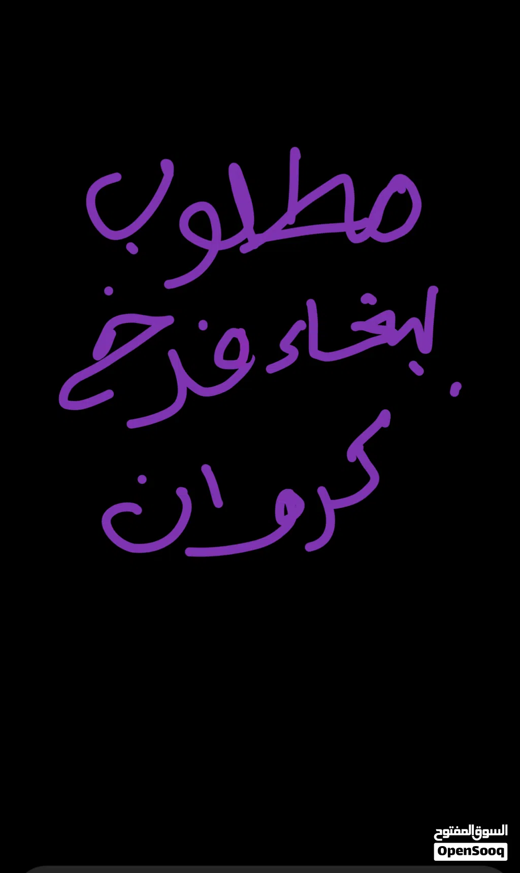 مطلوب ببغاء فرخ كروان