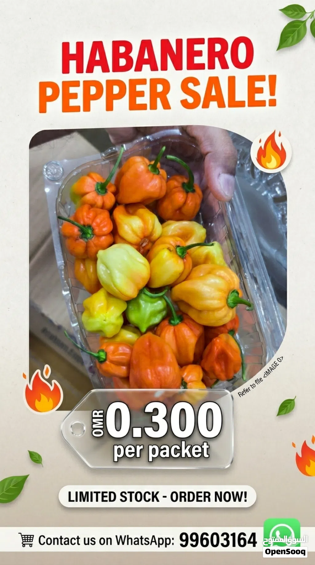 Habanero Chilli RO 0.300 per Pkt