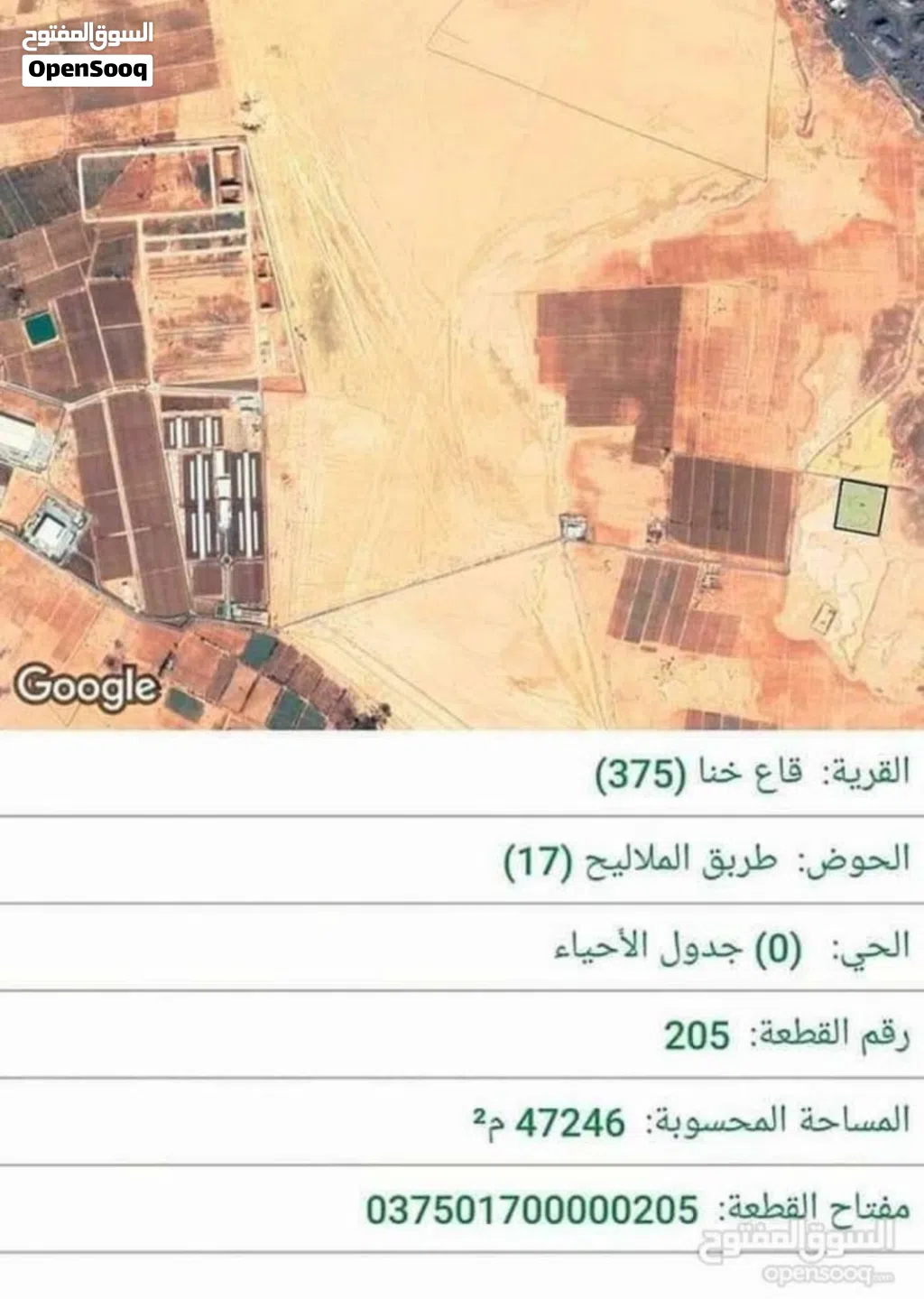 (( عمرة الجديدة )) فقط 4.7 كيلومتر