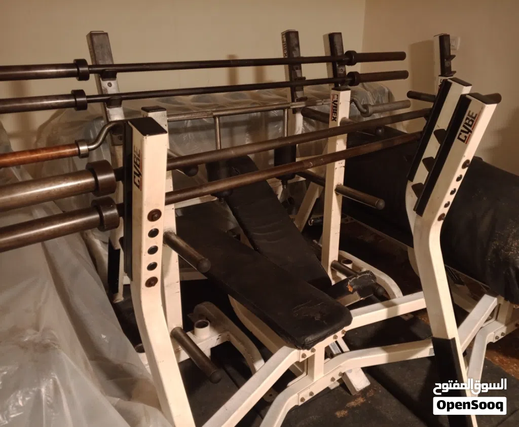 لاين CYBEX