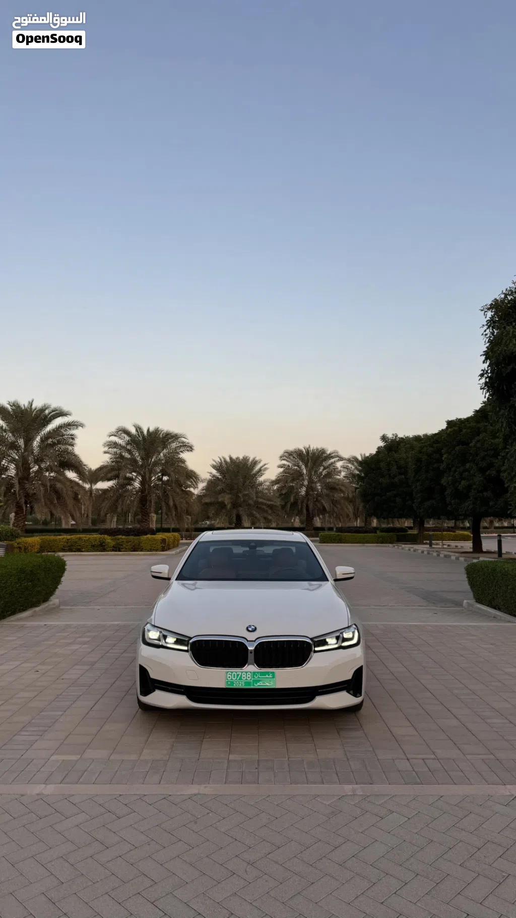 BMW 5 Series 530