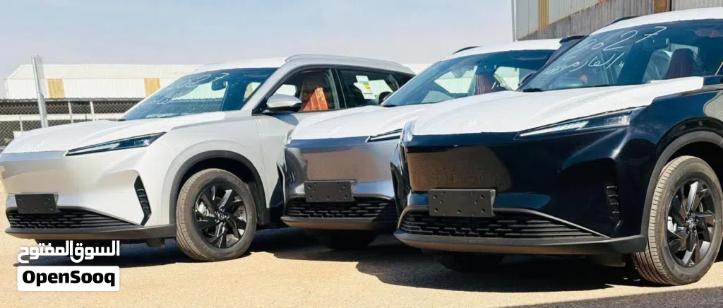 Dongfeng Mage EV