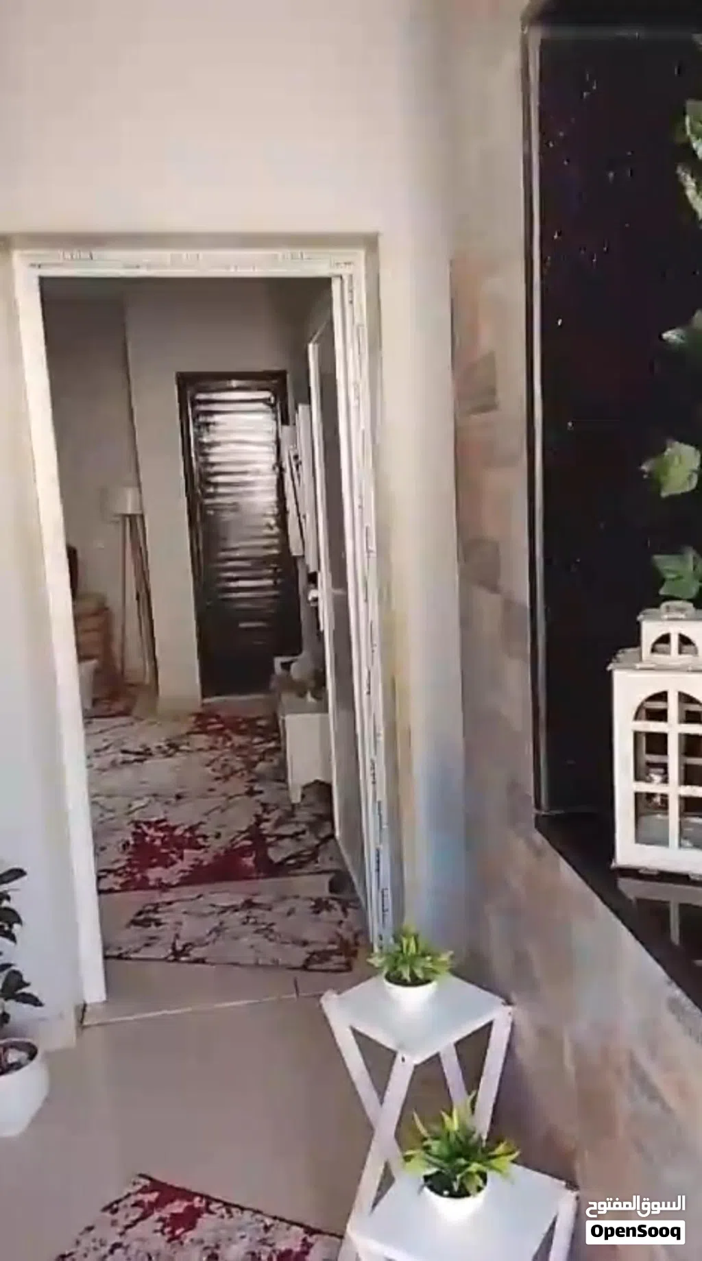 استوديو لي البيع زوز مع بعض
