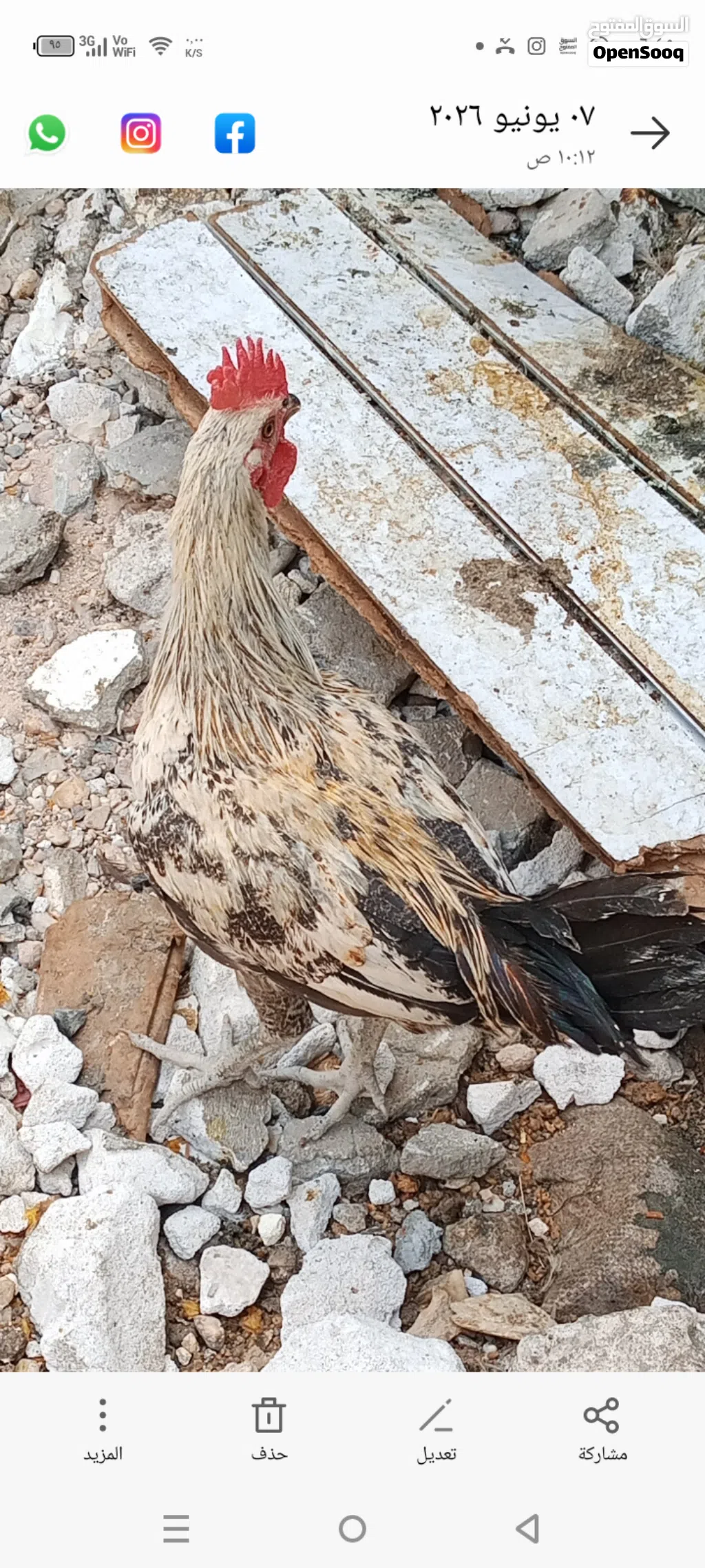 ديجج فيومي