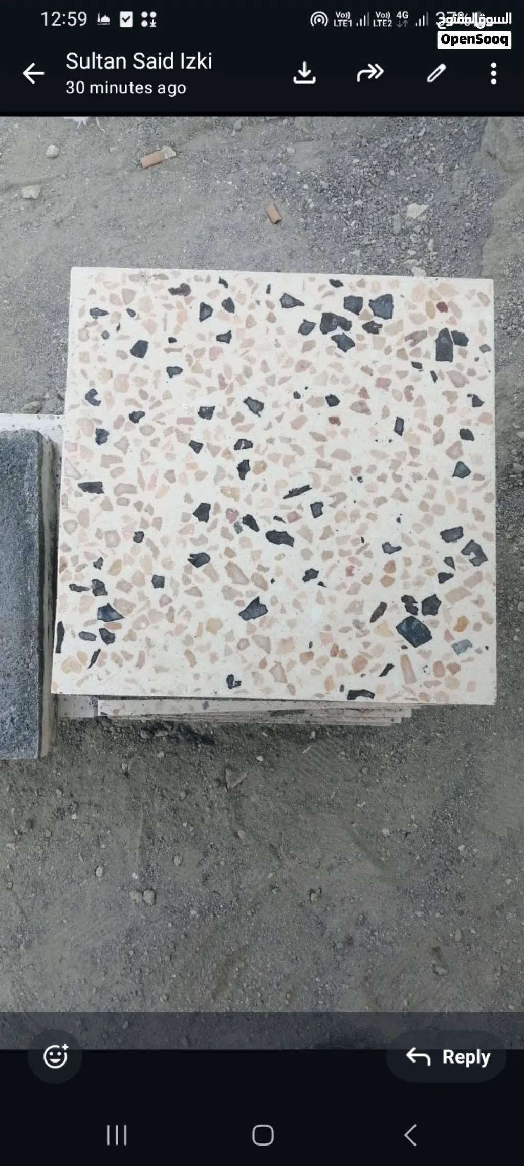 Interlock and carbstone and mozaic tail