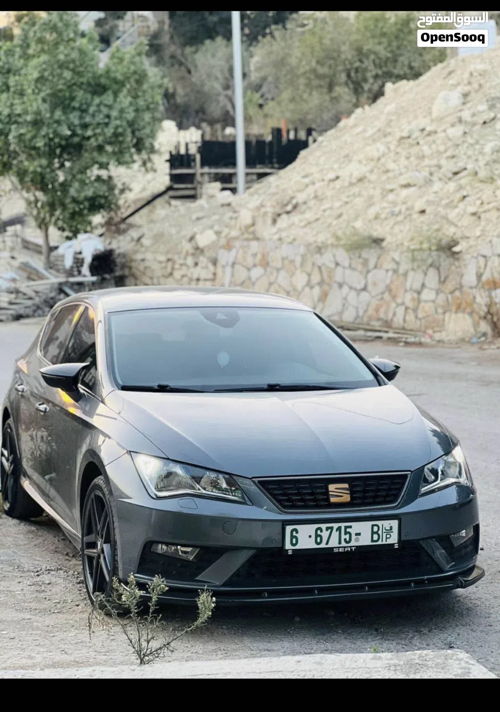 سيات ليون Standard