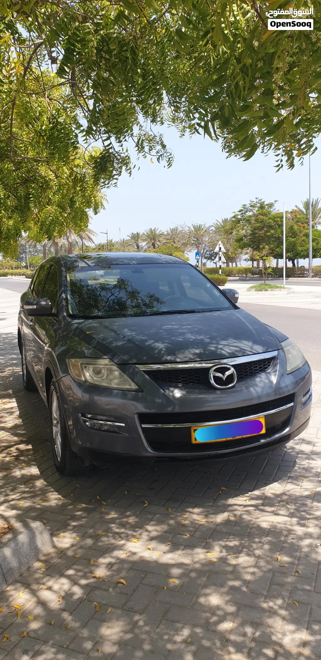 Mazda CX-9 Standard