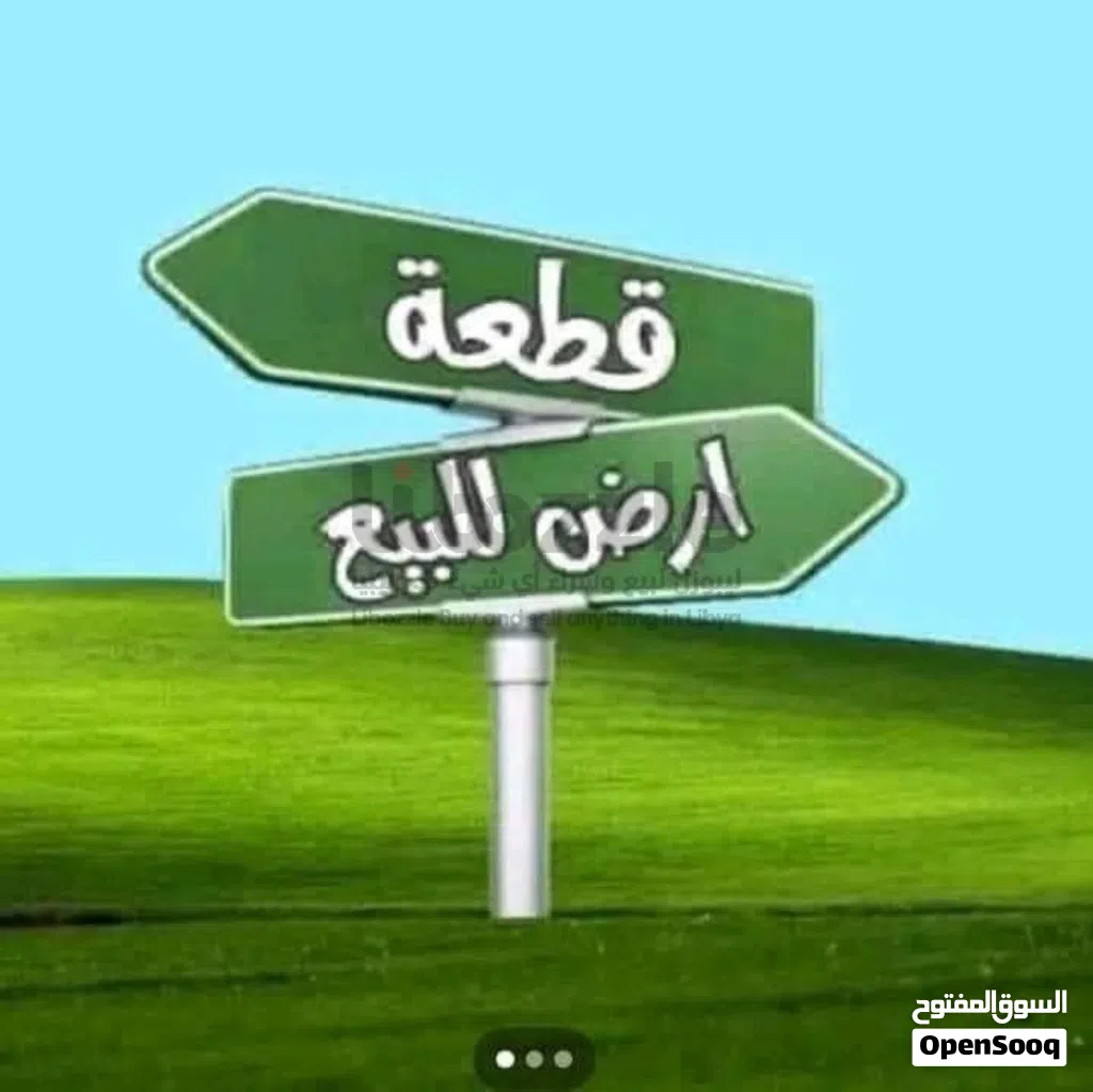 250 متر في القيو