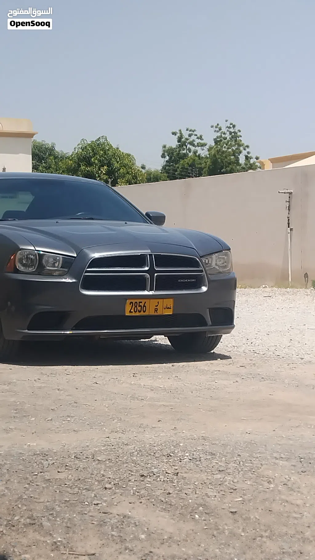 Dodge Challenger SE