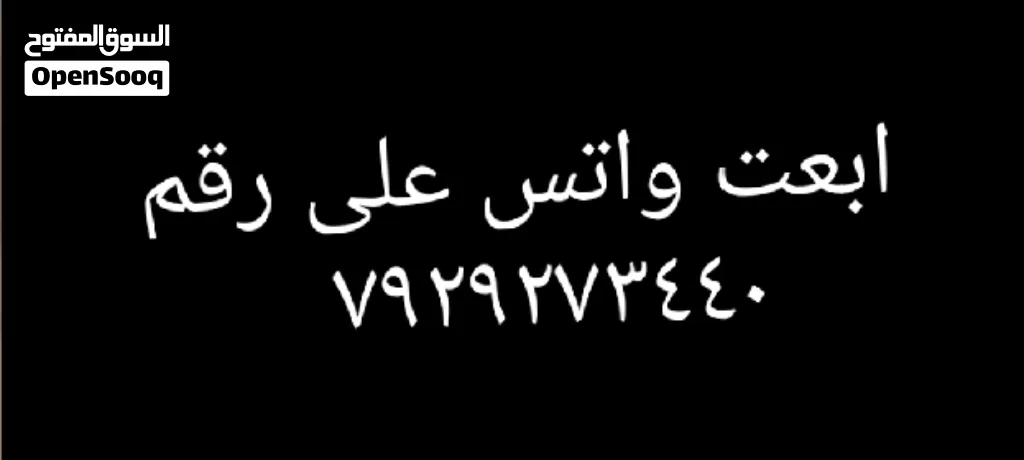 دجاج للبيع
