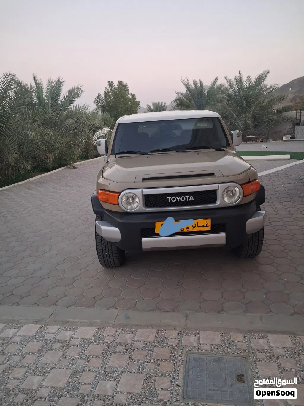 Toyota FJ XTREME