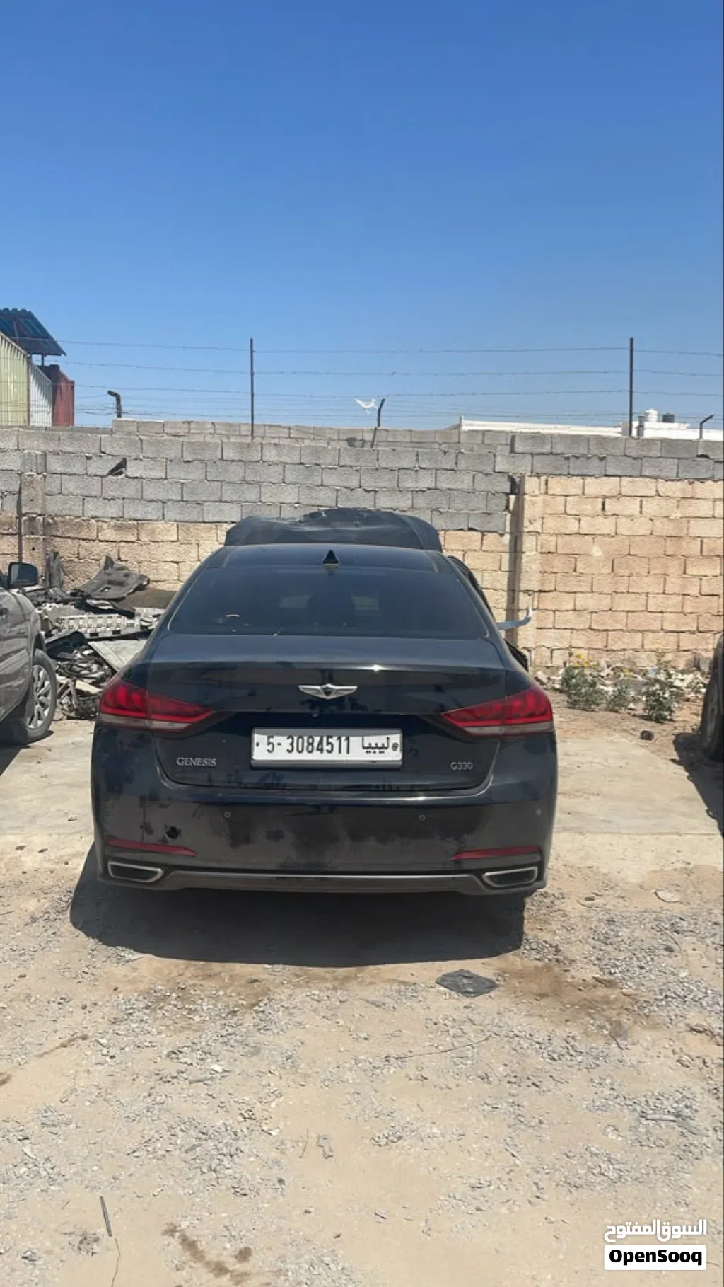 Genesis Other