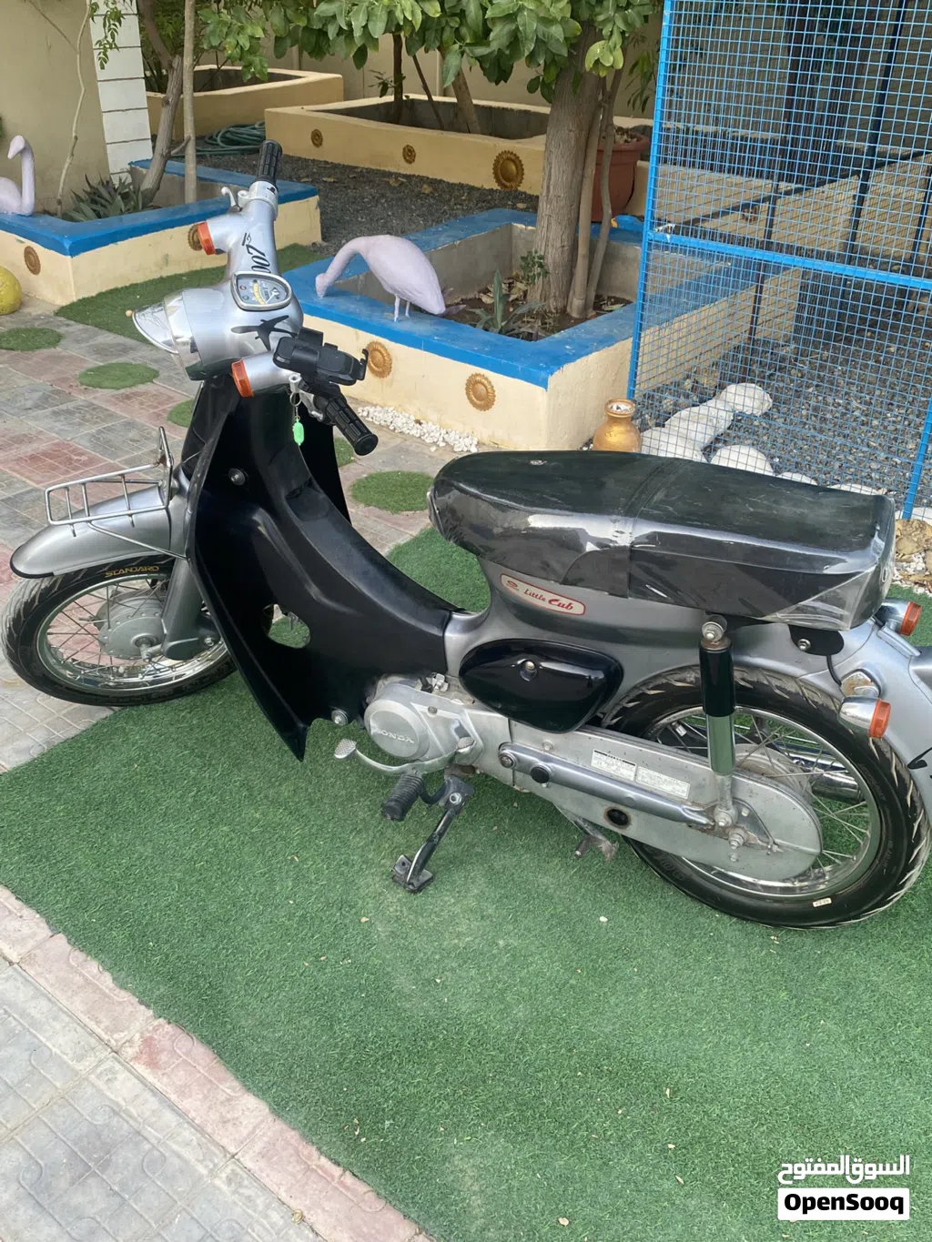 Honda Other