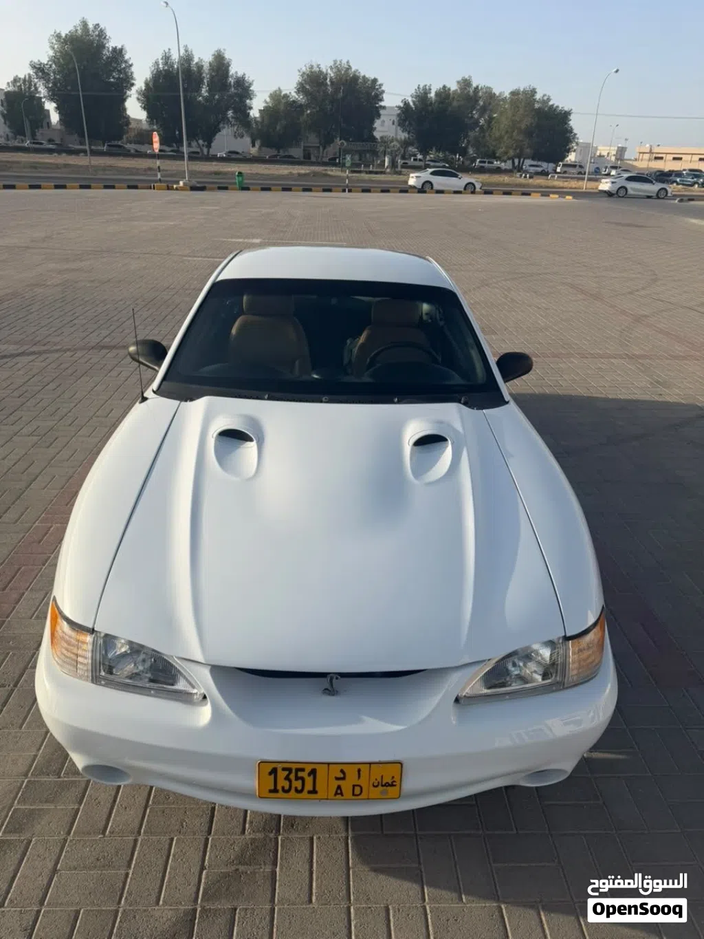 Ford Mustang SVT Cobra