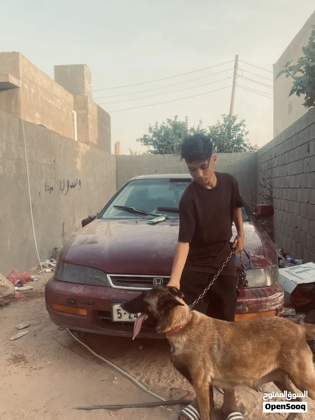 انتايه مينوا البيع تحتها جروي البيع حت هنا