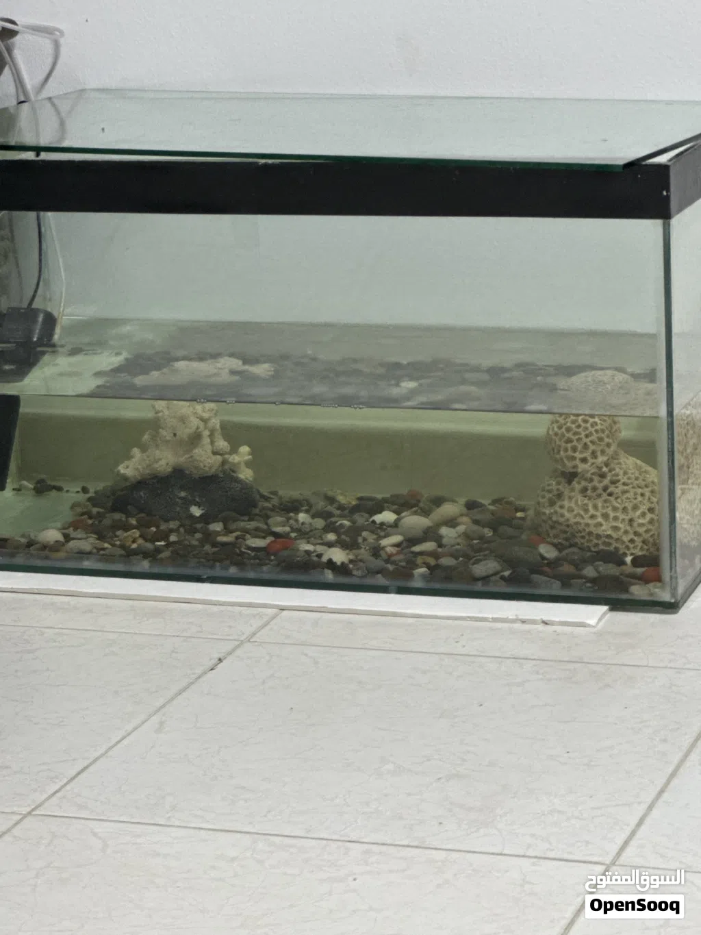 Fish tank with gravels and live fishes