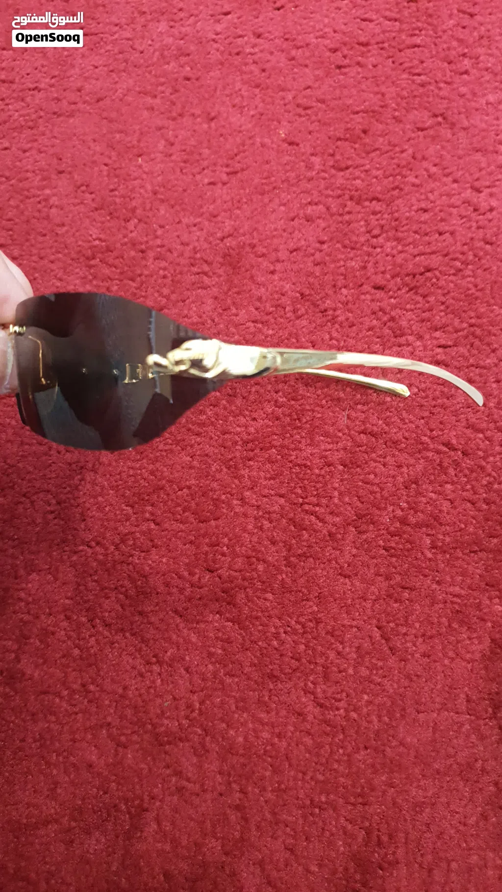 نظارة ماركة كارتير