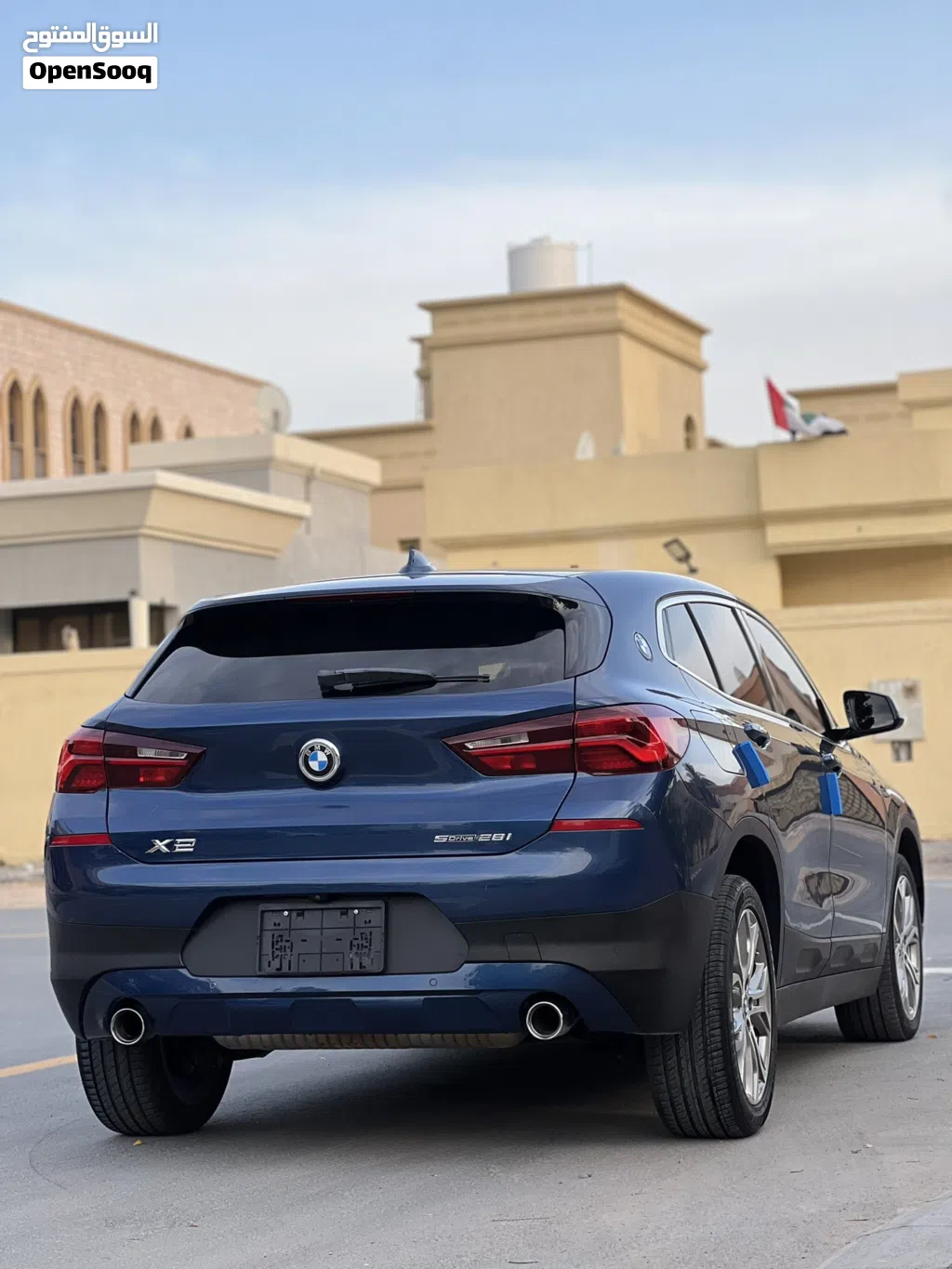 BMW X2 Series X2 sDrive20i