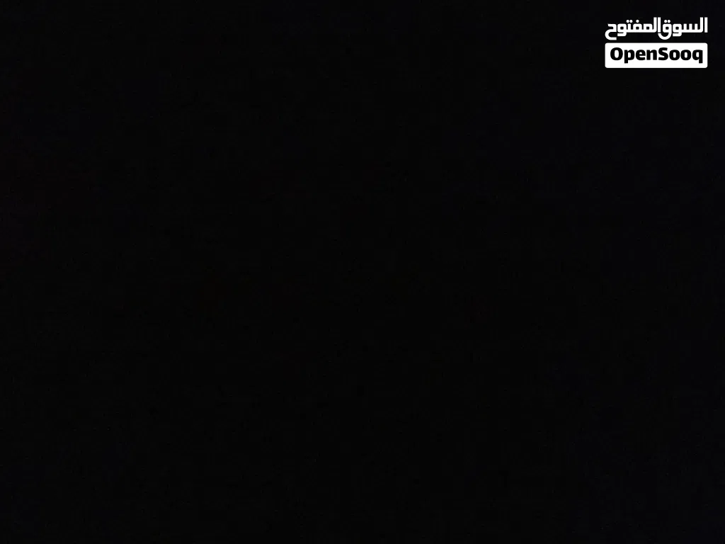 مطلوب كلب مالينوا للتبني جرو
