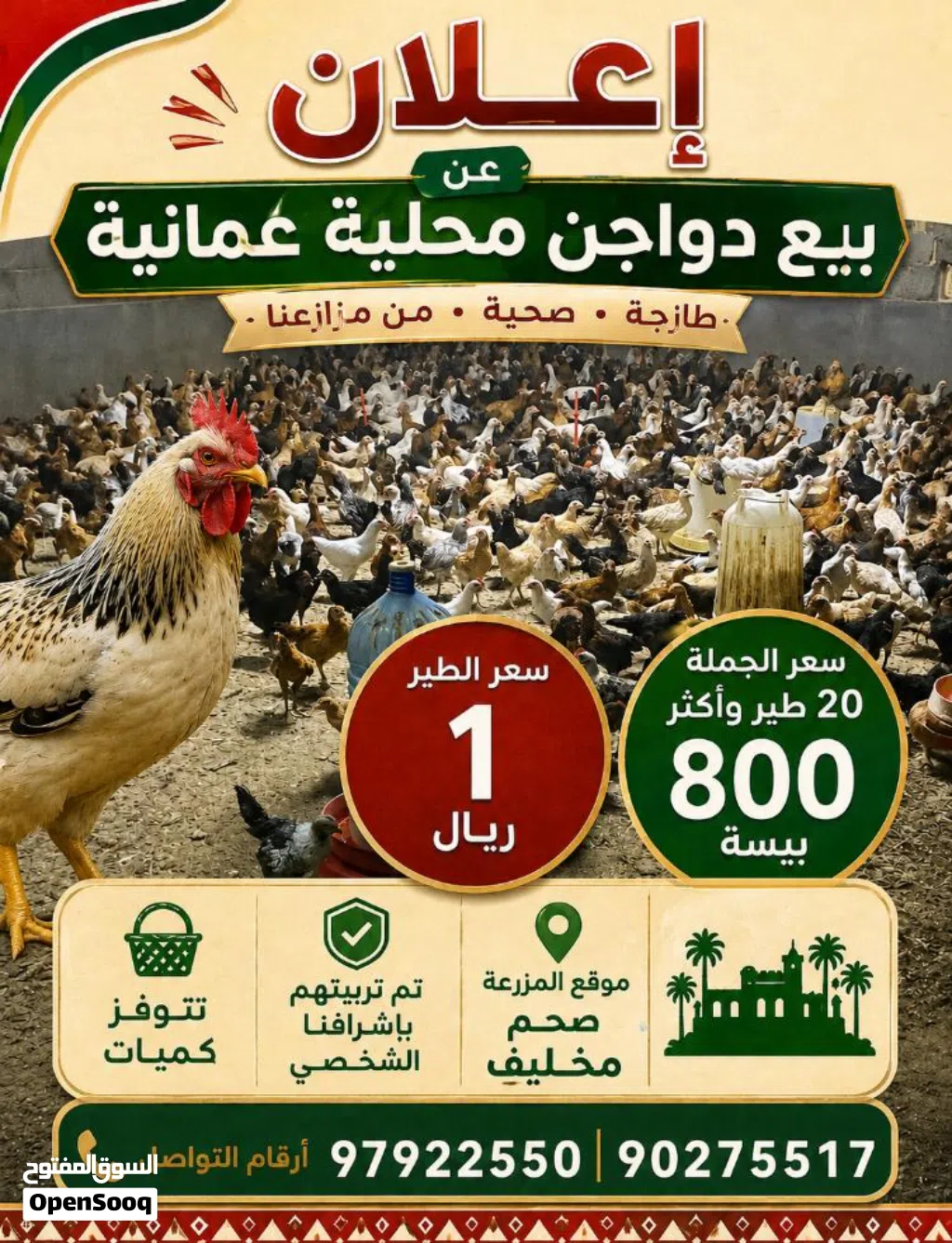 دواجن محلية عماني فرنسي