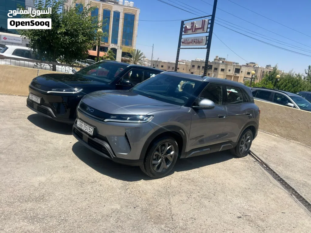 BYD Other