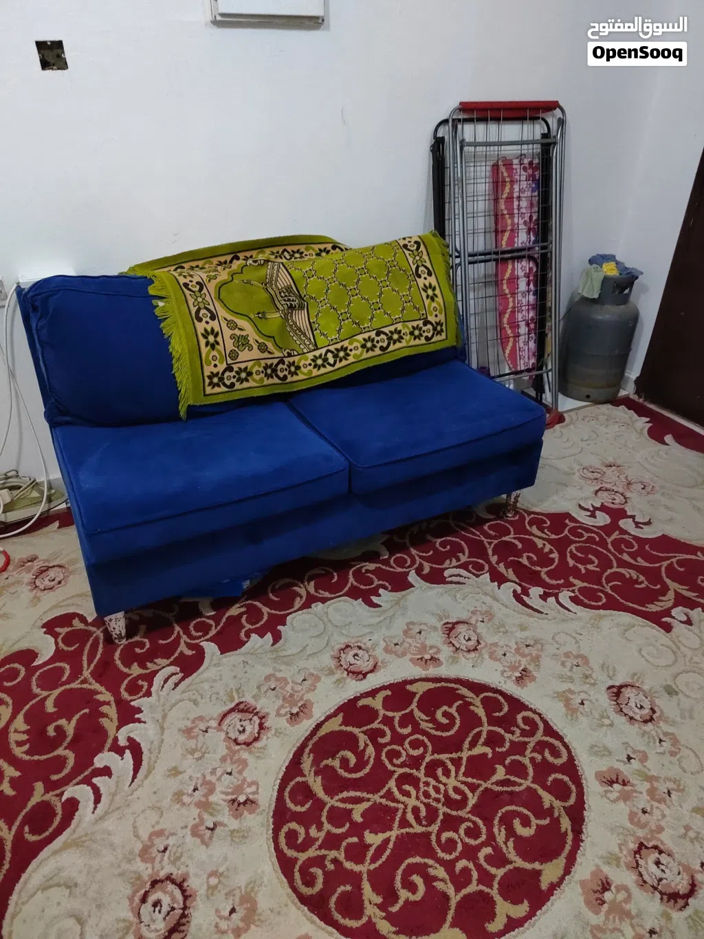 مشارك سكن نحتاج إلى فرد واحد