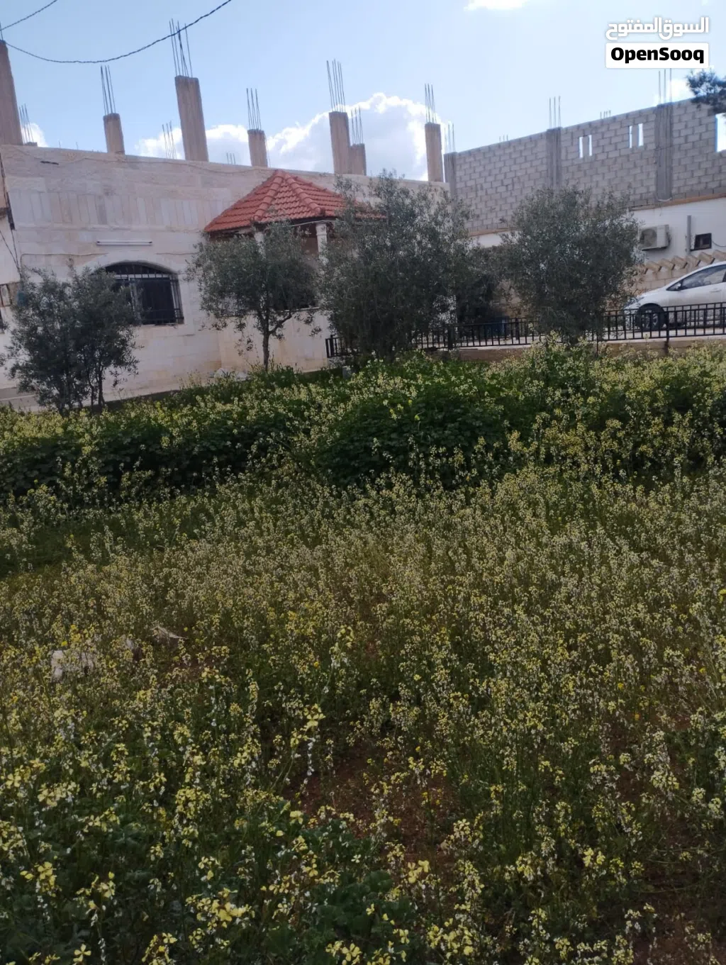 بيت مساحة دونم في المفرق بسعر مغري للجادين فقط كل التفاصيل بل الاعلان