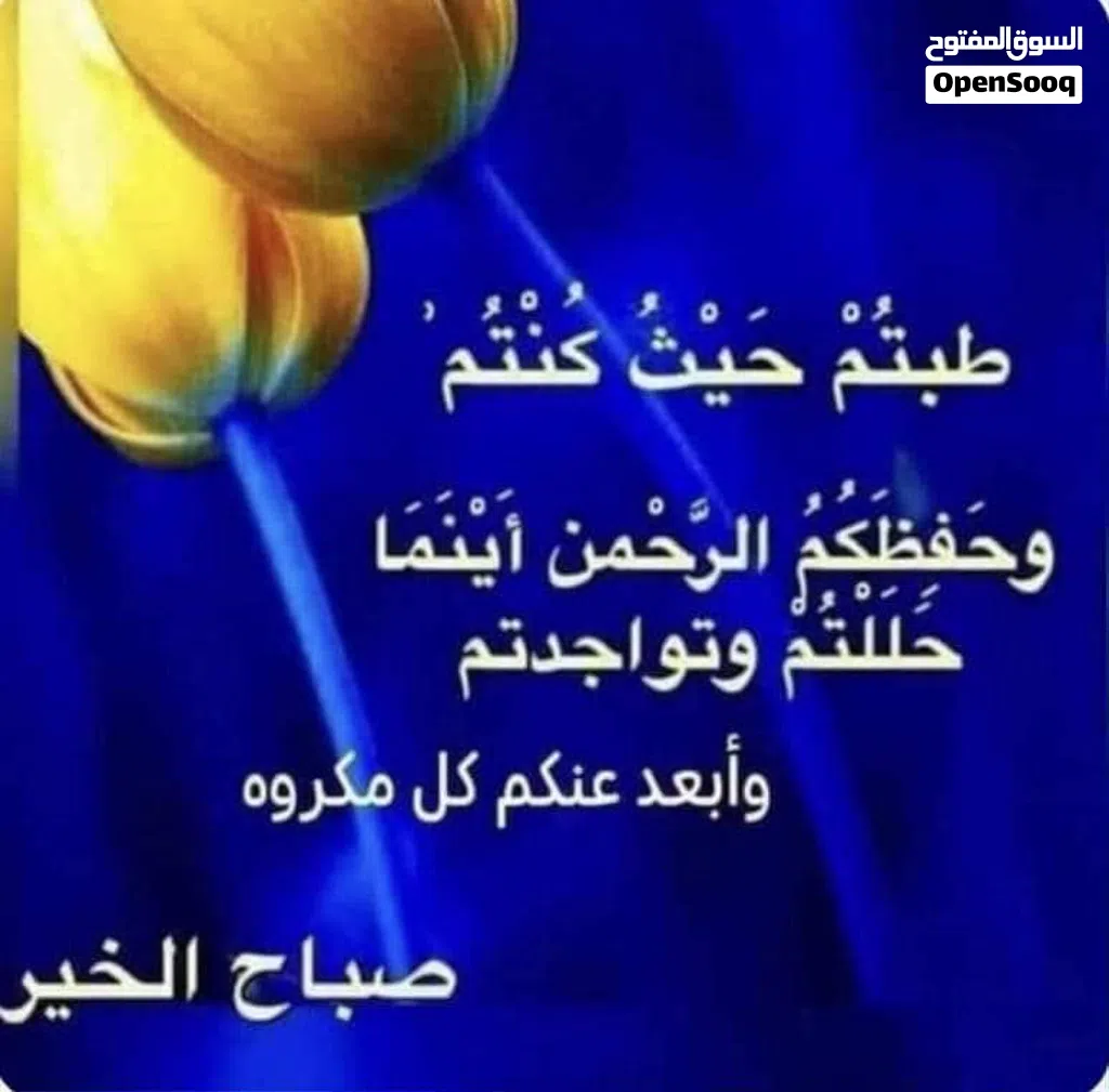 شقه ف ارض ازواوه خلف مسجد على الريسى
