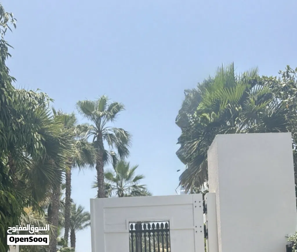 1000 متر البازيد جامع الاخضر