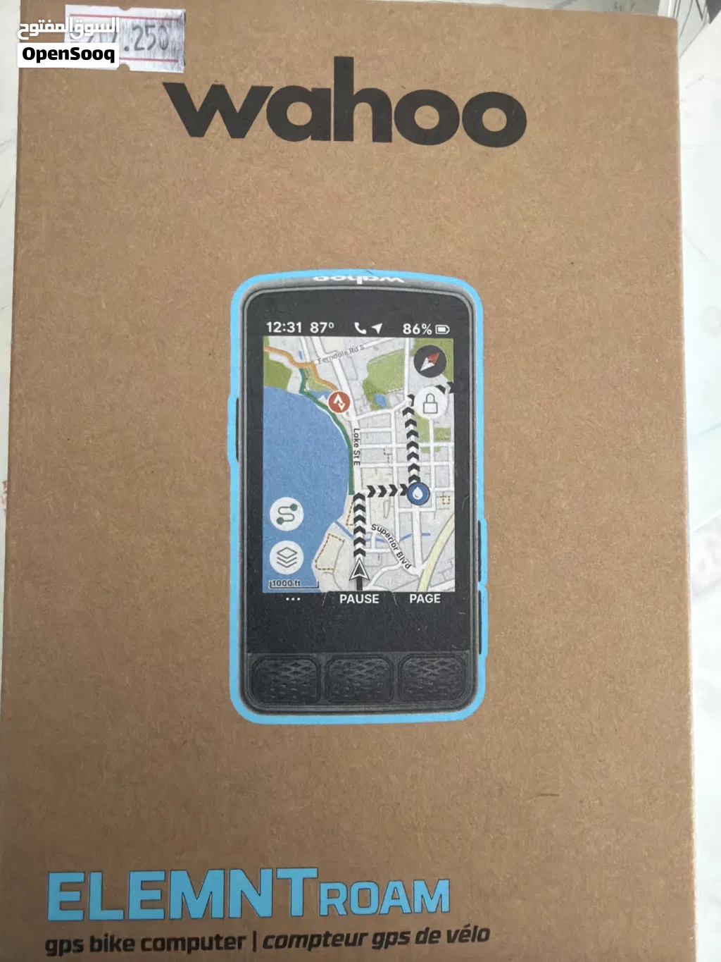 Wahoo Element roam gps