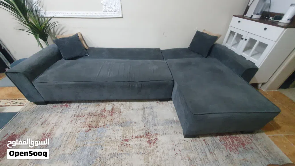 2×1 كنب وسرير والسجادة وشجرة طويلة السعر 600