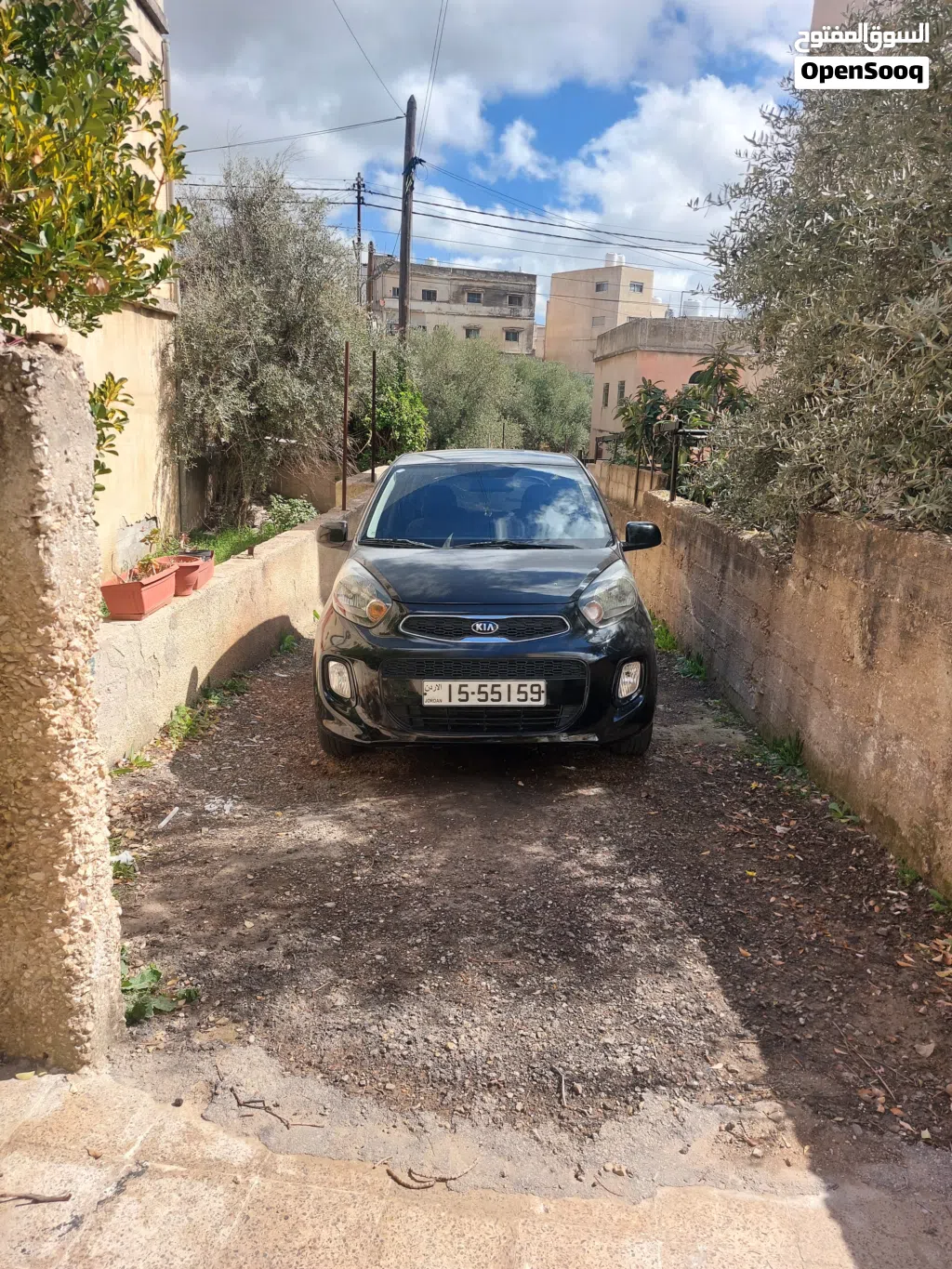 كيا بيكانتو EX