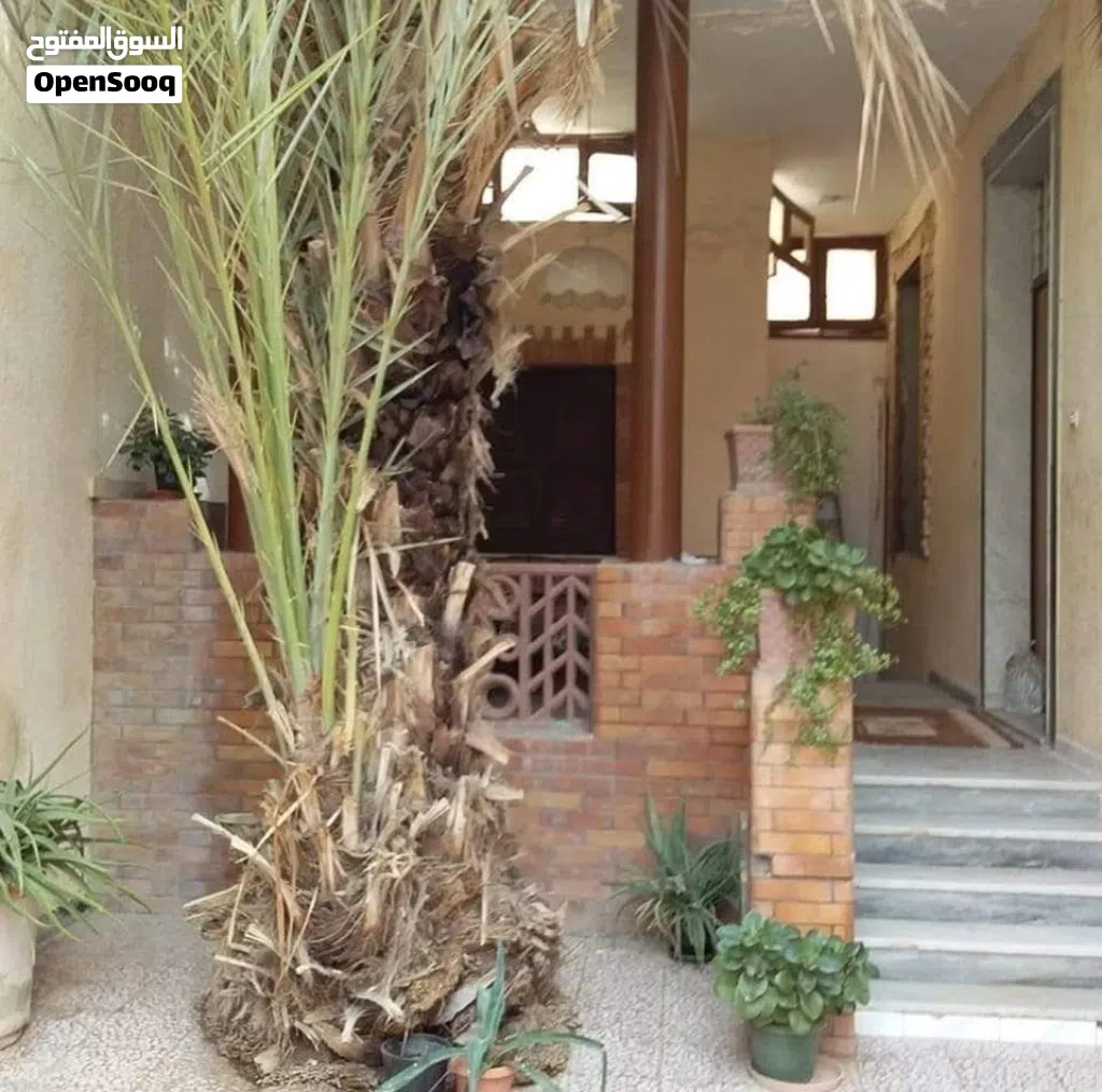 600 متر سيدي خليفة بالقرب من سجل المداني