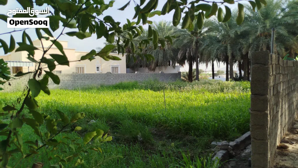 مزرعه للبيع