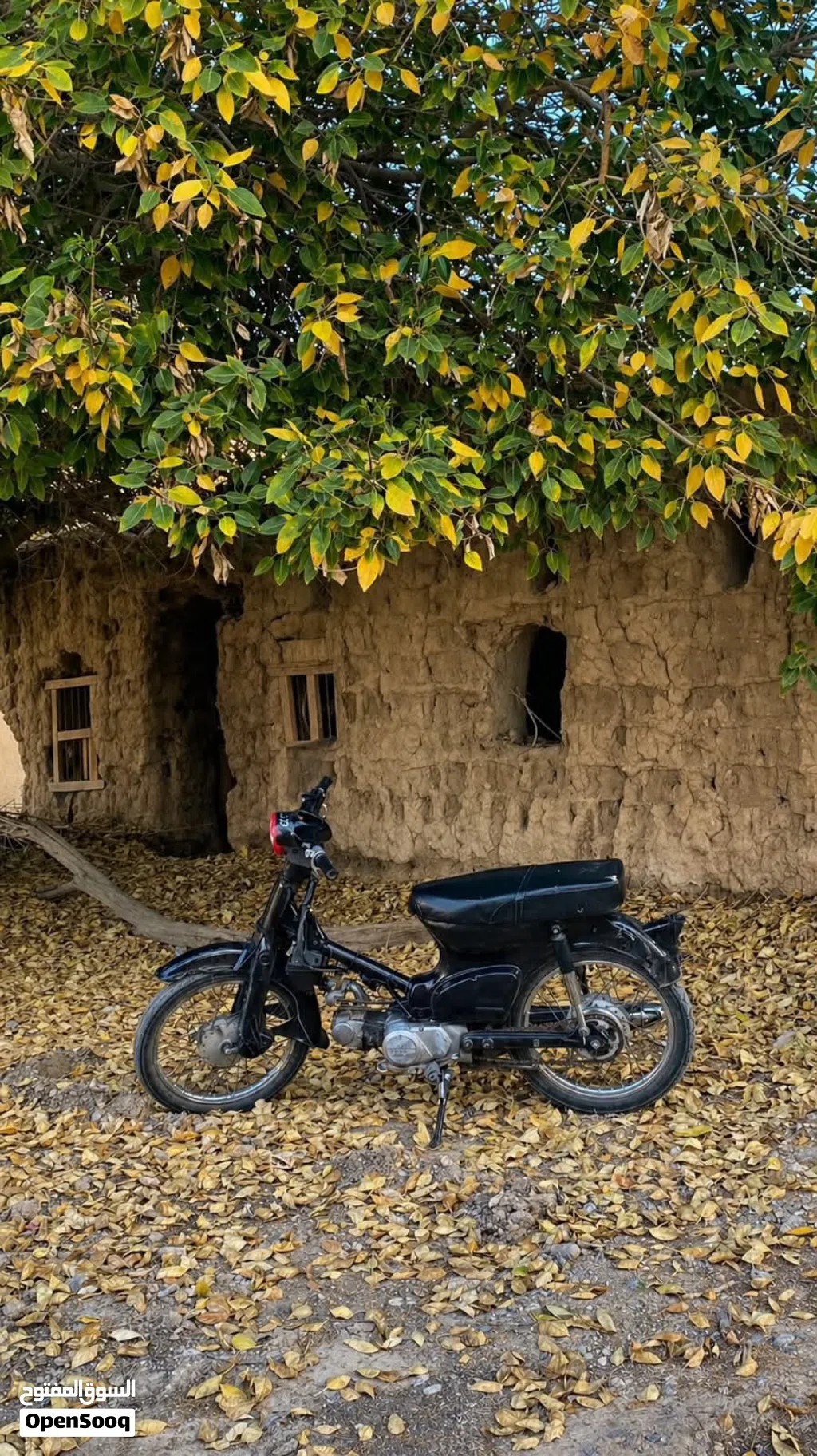 Honda Dio
