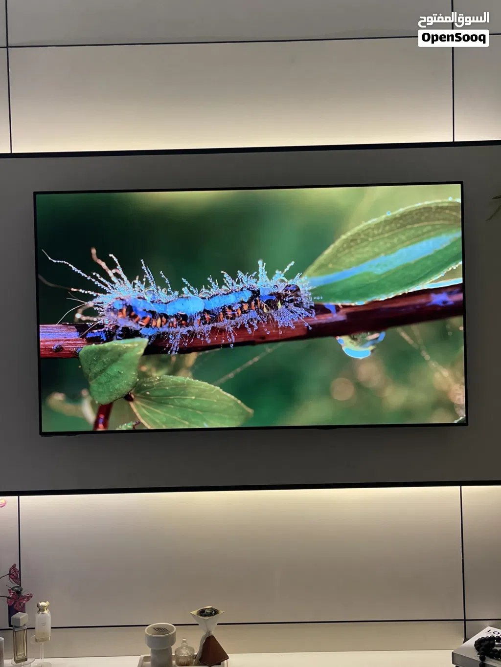 عش تجربة سينمائية مع هايسنس OLED