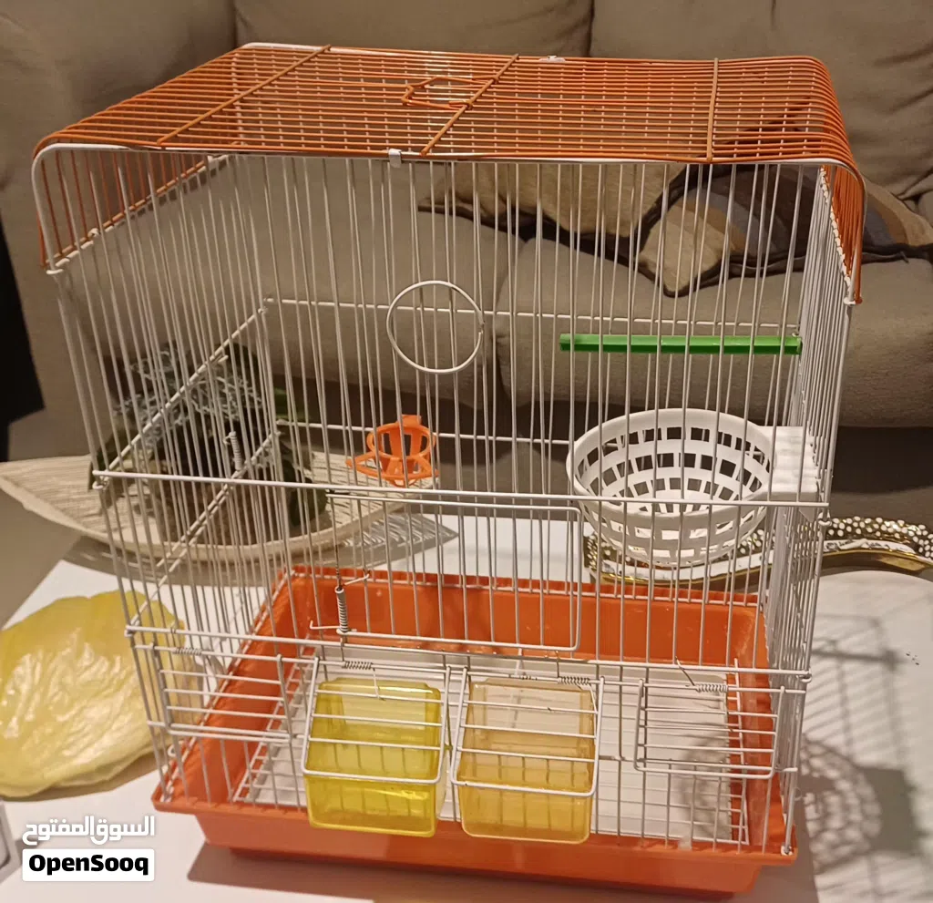 قفص اخضر ب 6 وقفص برتقالي ب 8