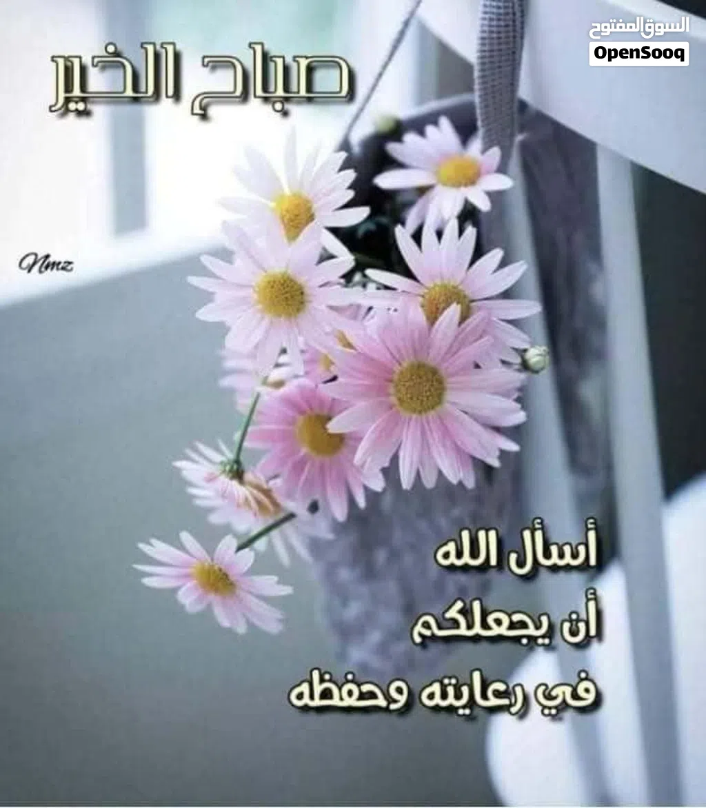 شقة مفروشة للأيجار حيى السلام